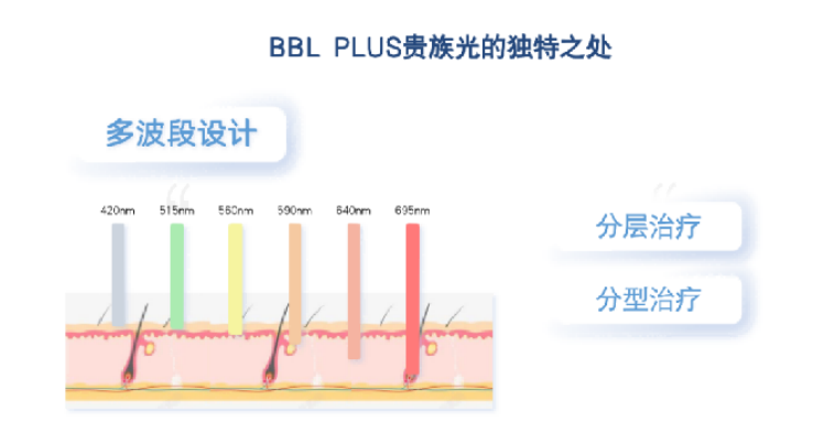 BBL PLUS